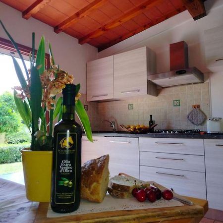 I Cavalleggeri Villa Castagneto Carducci Eksteriør billede