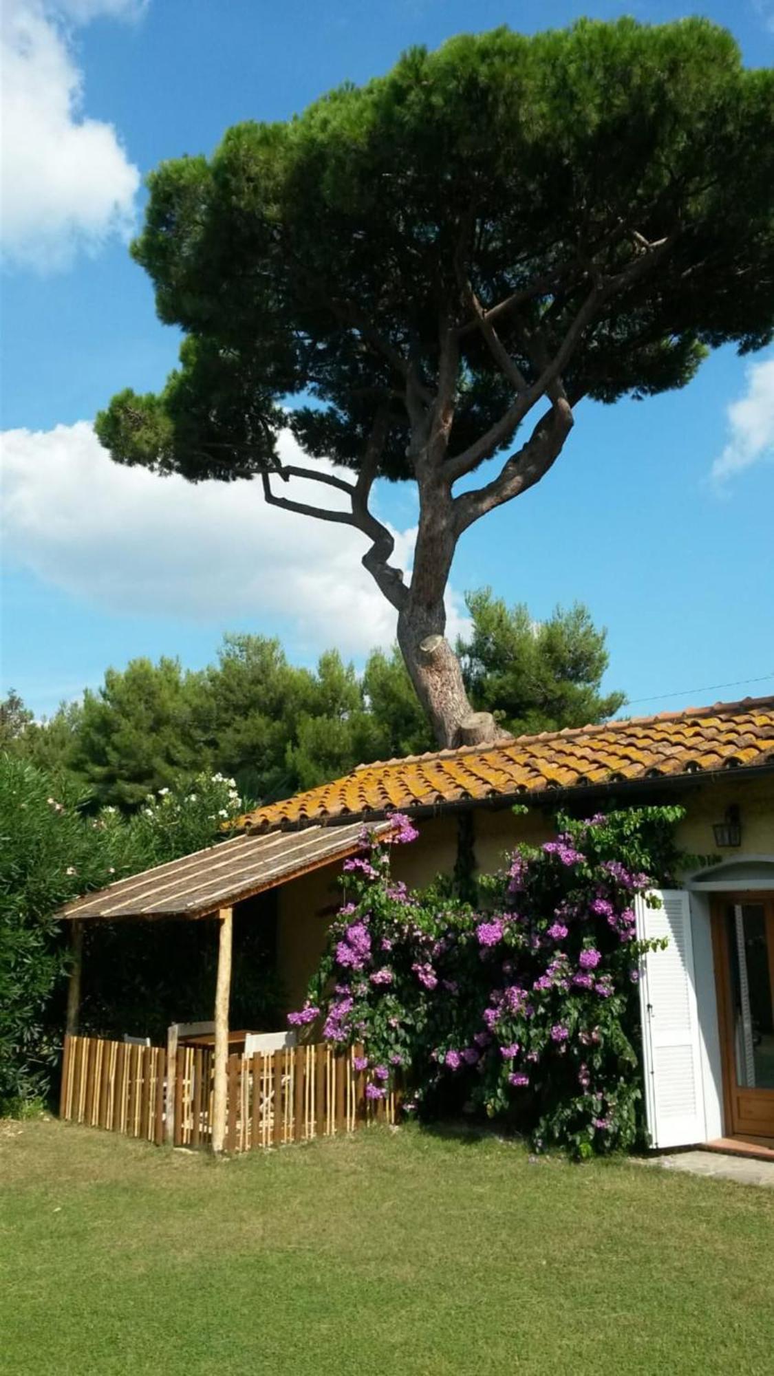 I Cavalleggeri Villa Castagneto Carducci Eksteriør billede