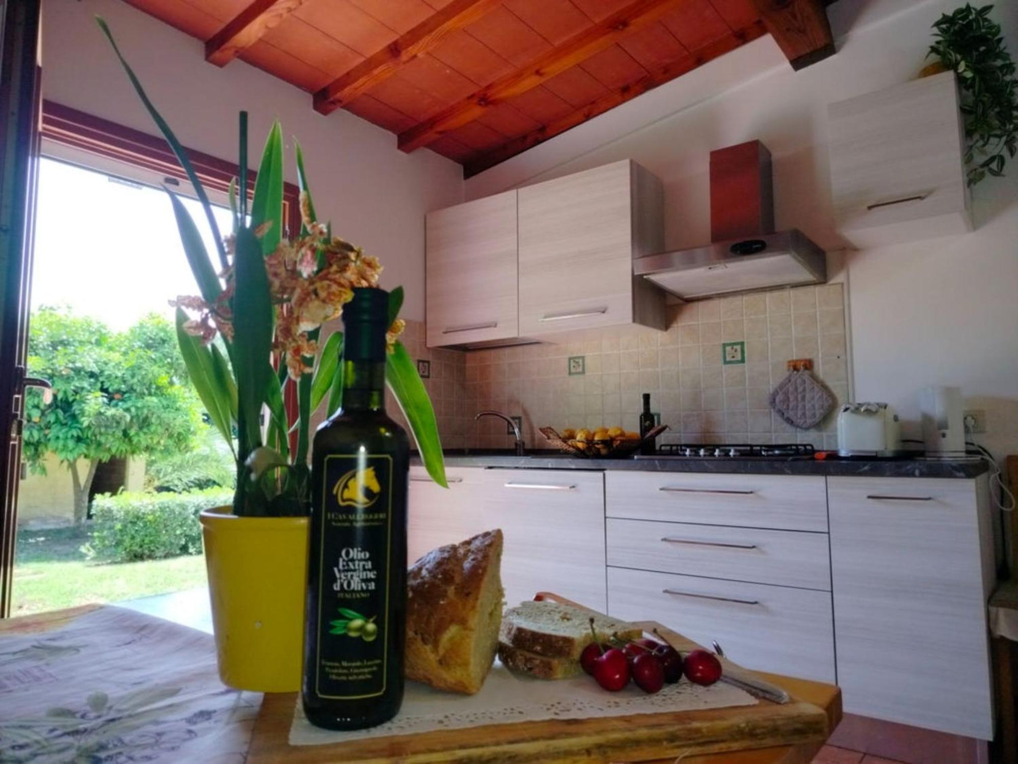 I Cavalleggeri Villa Castagneto Carducci Eksteriør billede